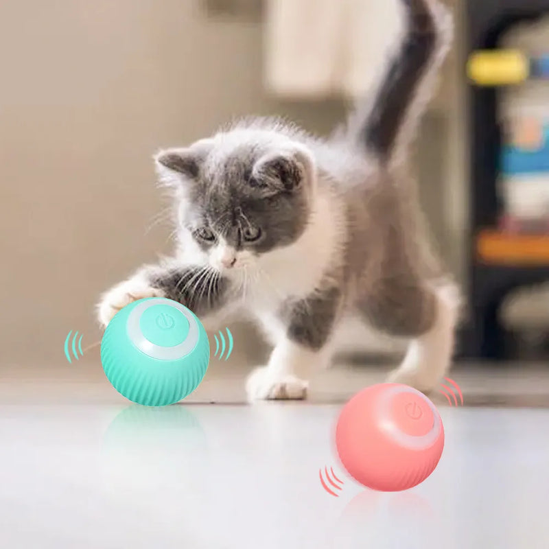 SmartBall™ - Bola interativa para Pets