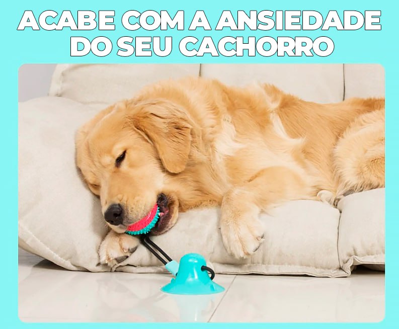 Brinquedo Mordedor Interativo com Ventosa Para Cães - ®PuxaDog